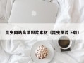 漯河昆虫网站高清照片素材（昆虫图片下载）